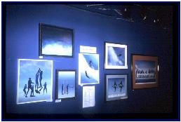 Permanent show in the Cousteau's Gallery in NSDH, Hawaii