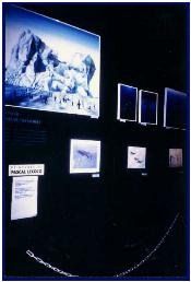 Exhibition inside Nausicaa, the room of wrecks