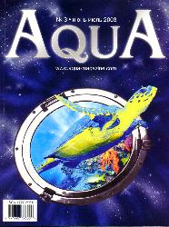 Aqua #3