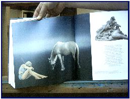 Pascal's painting published in book Femmes de Cheval