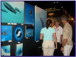 Orlando Dema show 2007 