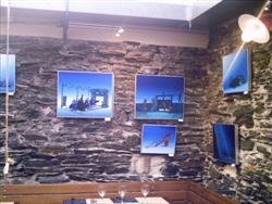 Paintings by Pascal Lecocq, Angers, 2008
