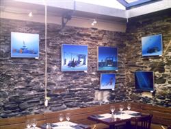 Paintings by Pascal Lecocq, Angers, 2008