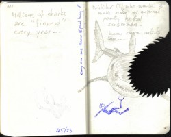 Carnet Bleu page 25