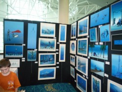 Blue Wild Expo 2010