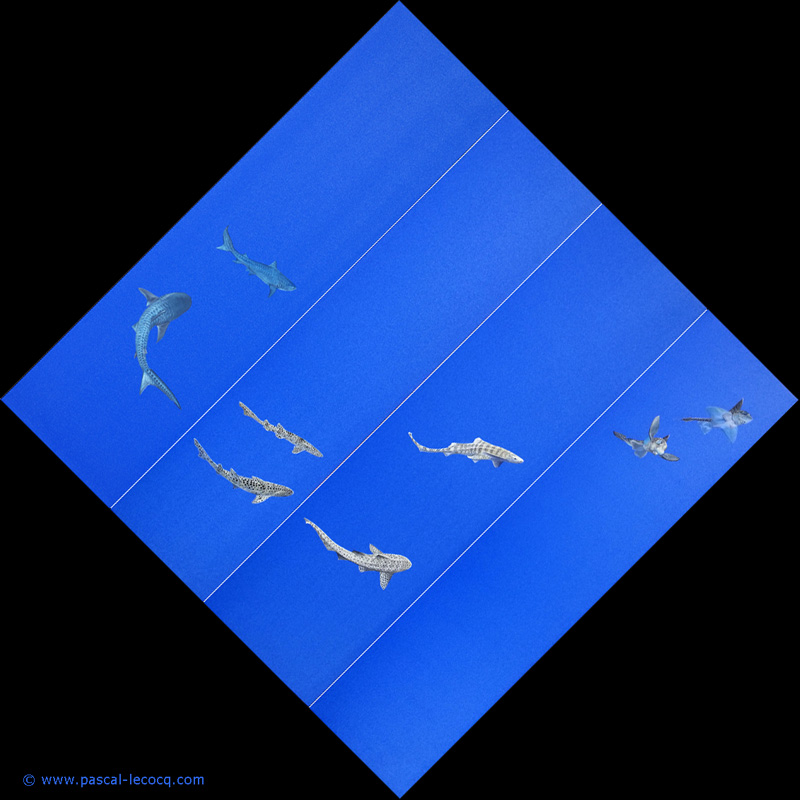 lec913poly