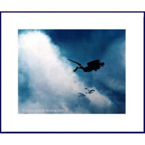 CIEL, UNE MOUETTE !